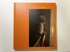 A Cat Catcher in the Ryeライ畑で猫をつかまえて 宮崎剛