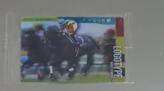 サラブレッドコレクション カード ロゴタイプ