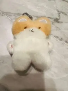 ベッキョン　トレギ　ぬいぐるみ