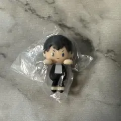 ハイキュー　ぴょこのる　影山飛雄