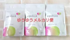新品・未開封 大塚製薬 エクエル パウチ 120粒 3袋セット