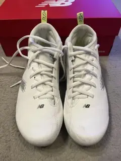 Item thumbnail for item 9bae37ff-3f78-4a20-9c1d-bbd91a660d0e