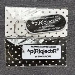 THE RAMPAGE *p(R)ojectR 会場限定 ワッペンキーホルダー