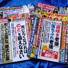 週刊ポスト8月22日号　8月1日号【2冊セット】