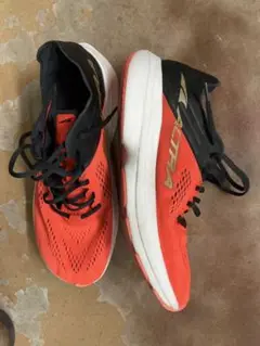アルトラ バニッシュカーボンaltra vanish carbon