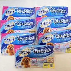 Item thumbnail for item 43fc4d69-b1ee-409a-b5ee-99ff5bd63007