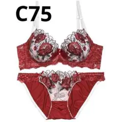 C75 ゴージャスフラワーパール育乳脇高ブラジャー&フルバックショーツ
