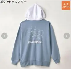 ポケモン アベイル ハッビーバック5点セット イッカネズミ アベイル イッカネズミ ハッピーバッグ 福袋 5点セット 抜き取り