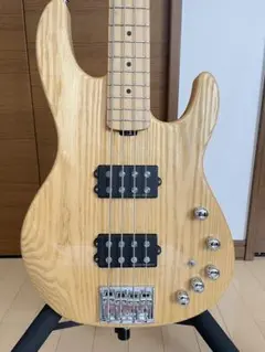 2025年最新】ESP AP-SLの人気アイテム - メルカリ