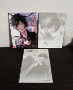 そこは狂った夢の淵 その愛は病にいたる ステラ HOBiGIRLS 小冊子