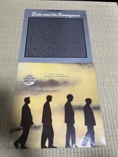 ECHO &the BUNNYMEN LPレコード2枚セット　UK盤　ネオアコ