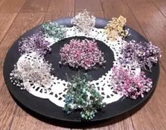 25 まころんのお花畑で咲いた茎カスミ草のドライフラワー5色のお詰め合わせ‼️