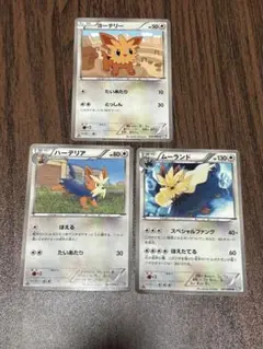 イーブイ ハーデリア ムーランド カードセット