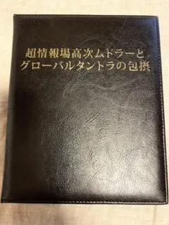 超情報場高次ムドラーとグローバルタントラの包摂