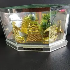 ✴️金色の名古屋城とドラゴンの置物