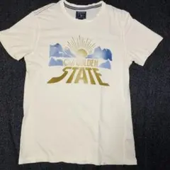 ウールリッチ Cali Golden State Tシャツ メンズMサイズ相当