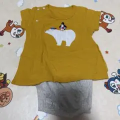 コンビミニ　半袖ラップコンパクト　シロクマ