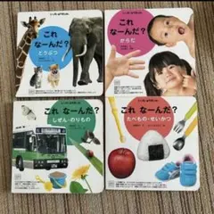 これなんだ？絵本セット