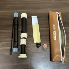 Item thumbnail for item 7a6e9008-8b4b-4e62-85ff-3dbf2037caa5