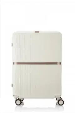 Samsoniteミンタースピナー61