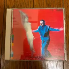 PETER GABRIEL REAL WORLD