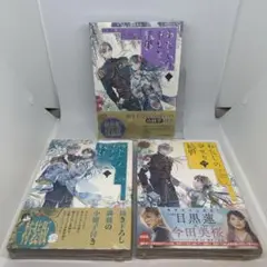 わたしの幸せな結婚 2.3.4巻　特装版