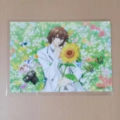 新テニスの王子様　テニラビ　サマバレ　不二周助　ブロマイド