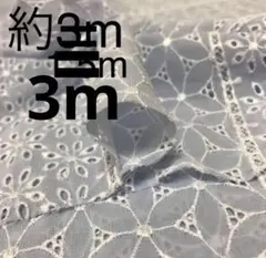 Item thumbnail for item 25b77d4d-bc6b-49c0-b662-ee7ceefc322c