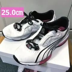 Item thumbnail for item c32443ca-7170-4b07-aabe-b61948ad96b7
