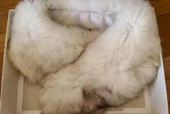 シルバーフォックス　ファー　SAGA FURS