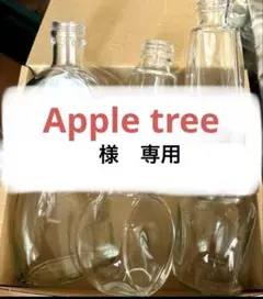 ガラス瓶 6本セット