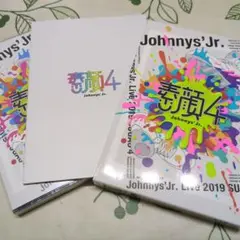 ジャニーズJr. LIVE 2019 素顔4 SixTONES SnowMan