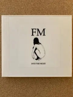 fixmer / McCarthy 「Into The Night」