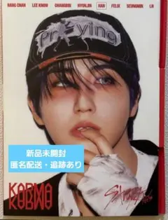 karma　アルバム　アコーディオン　CD　新品未開封　ハン