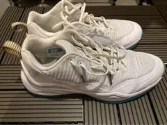 Item thumbnail for item 3bb50b90-1eea-4f84-8784-a95cbc8f6aae