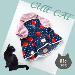 Item thumbnail for item e0f650eb-7e9e-4d75-8e1c-cd0e3c4fc59d