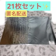 【21枚セット】 ぶいすぽ ノベルティ GiGO限定 第1弾 クリアファイル
