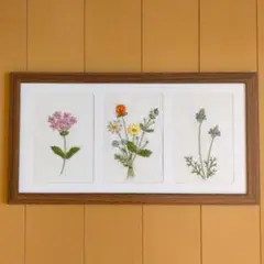 【完成品】刺繍　「ペンタス・ブーケ・レースラベンダー」のフレーム