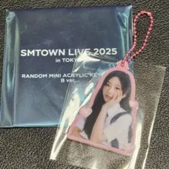 SMTOWN LIVE 2025 ランダムミニアクリルキーホルダー B ステラ