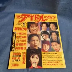 TVアイドルマガジン　創刊2号　SMAP 1996年　反町隆史　内田有紀