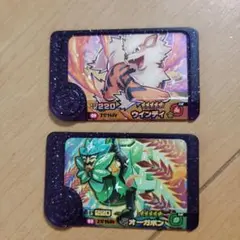フレンダ　ウィンディ　オーガポン スーパートレジャー　2枚セット