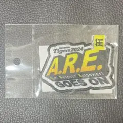 阪神タイガース 2024スローガンAREワッペン