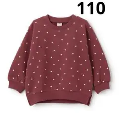 Item thumbnail for item 104315a6-3cc6-4371-ab72-fc9ae984e533