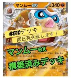 マンムーex 構築済みデッキ