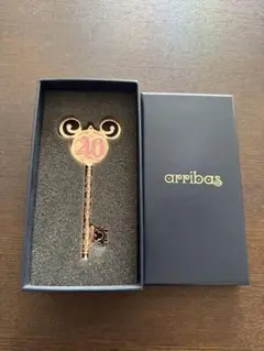 arribas ディズニーランド40周年限定　鍵　キー