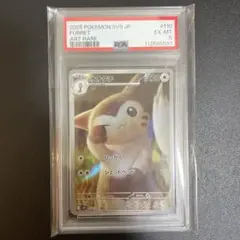 PSA6 オオタチ AR