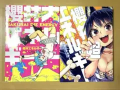 櫻井エネルギー　『櫻井大エネルギー』『櫻井超エネルギー』2冊　ワニマガジン社