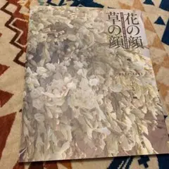 Item thumbnail for item 93bb0bcd-84e5-4550-9532-ea8689b60d1b