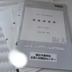 2024駿台阪大入試実戦模試 理系