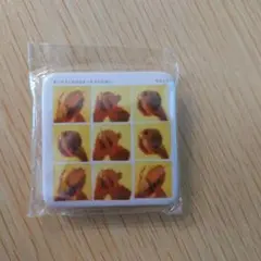 缶バッチ オーロラになれなかった人のために/スピッツ